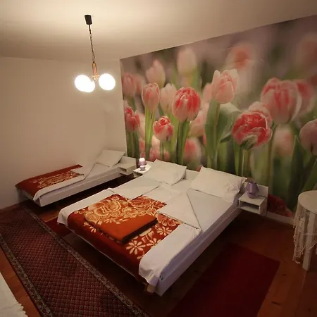 Grabrova Апартаменты *